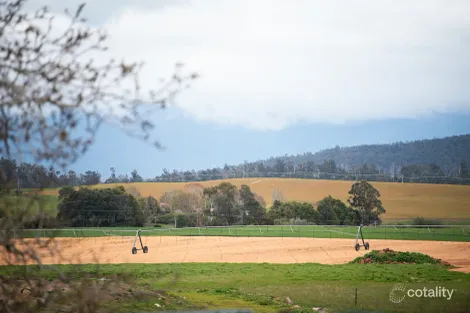 Property photo of 174 Emu Bay Road Deloraine TAS 7304