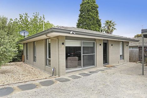 Property photo of 1/251 Noble Street Newtown VIC 3220