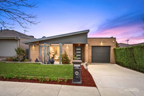 57 Bieundurry St, Bonner, ACT 2914