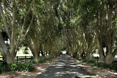 Property photo of 105 Lanes Road Wongawallan QLD 4210