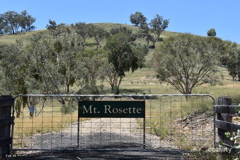 2012 Turondale Rd, Turondale, NSW 2795