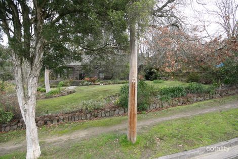 Property photo of 24 The Boulevard Heathmont VIC 3135