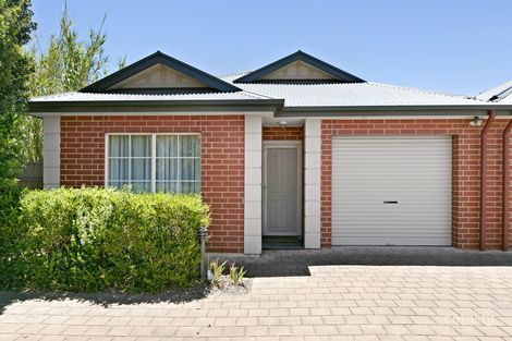 Property photo of 16A Victoria Avenue Camden Park SA 5038