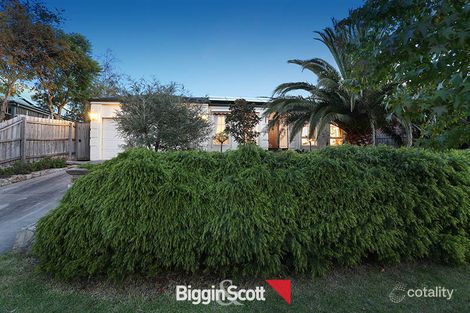 Property photo of 14 Highfielde Avenue Berwick VIC 3806