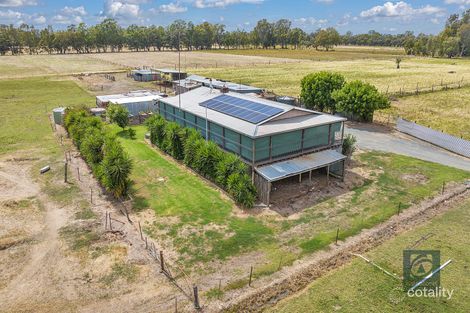 Property photo of 3 Pascoe Street Echuca VIC 3564