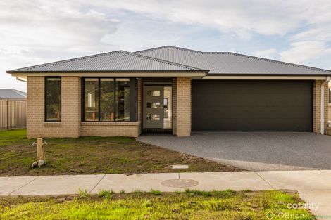 Property photo of 18 Eagle Avenue Cowes VIC 3922