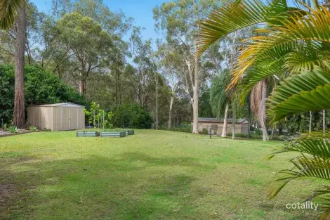 Property photo of 11 Kurrajong Street Capalaba QLD 4157