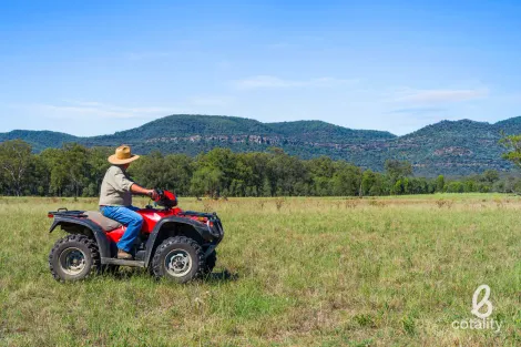 207 Redmanvale Rd, Jerrys Plains, NSW 2330