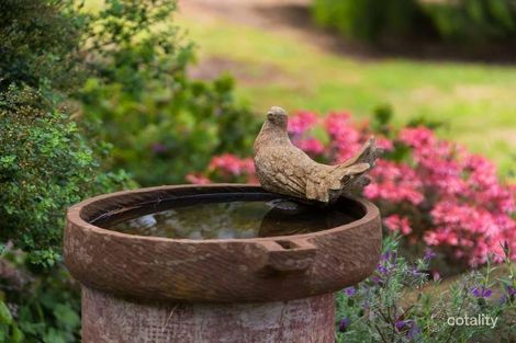 20 Thomas Rd, Red Hill South, VIC 3937