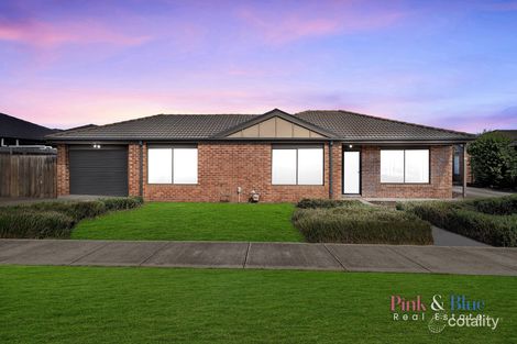 16/4 Austin Pl, Melton South, VIC 3338
