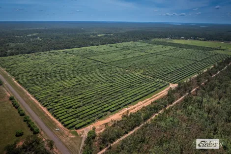 1070 Livingstone Rd, Berry Springs, NT 0838