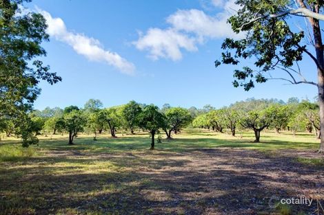 Property photo of 205 Hasthorpe Road Kandanga QLD 4570