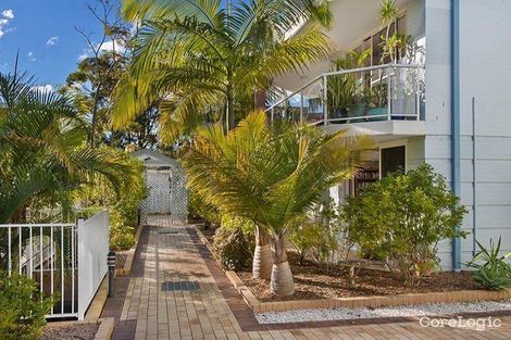 Property photo of 1/132-138 Pacific Parade Dee Why NSW 2099