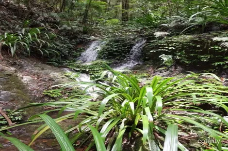 Property photo of 162 Repeater Station Road Springbrook QLD 4213