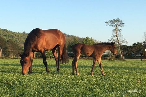 Property photo of 1469 Nimbin Road Koonorigan NSW 2480