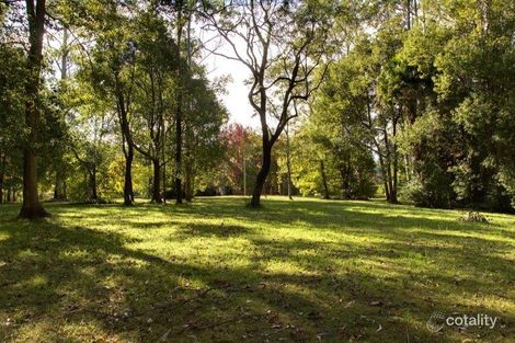 39 Wattle Tree Rd, Holgate, NSW 2250