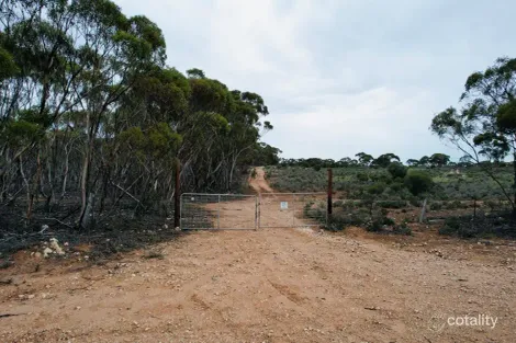 Lot 221 Pine Hut Rd, Sedan, SA 5353