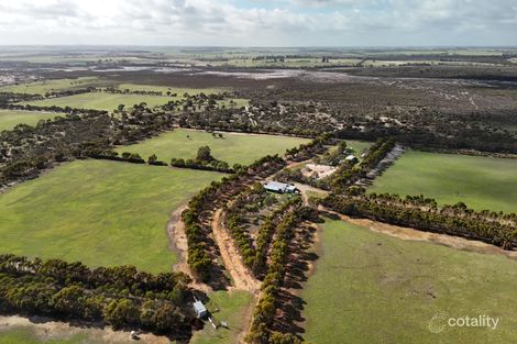 Property photo of 8827 Wallis Road Ewlyamartup WA 6317