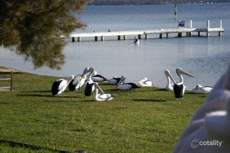 Property photo of 36 Kingfisher Circuit Cams Wharf NSW 2281