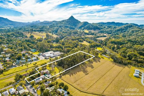 Property photo of 3 Poinciana Street Mullumbimby NSW 2482