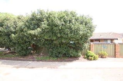 Property photo of 1/6 Mary Street Mitchell Park SA 5043
