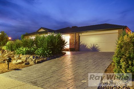 Property photo of 24 Sabella Place Noarlunga Downs SA 5168