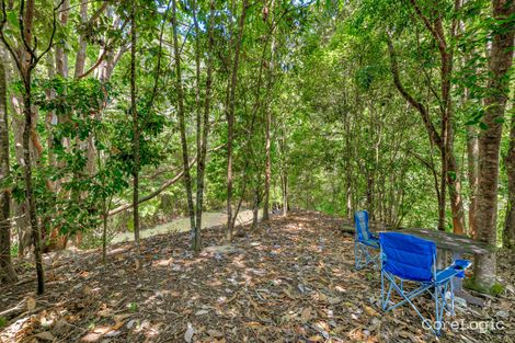 Property photo of 59 Ginn Road Malanda QLD 4885