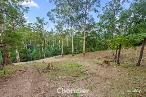 Property photo of 34 Hazelvale Road Tecoma VIC 3160