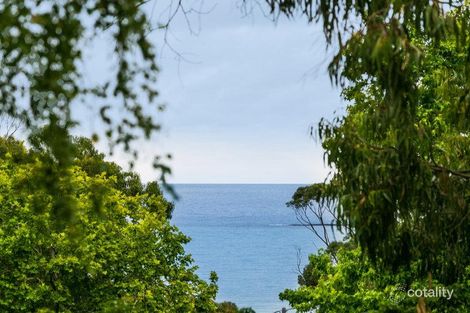 Property photo of 3 Smithers Street Lorne VIC 3232