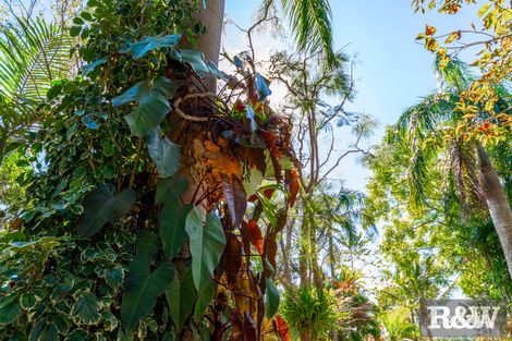 21 Pike Ct, Elimbah, QLD 4516