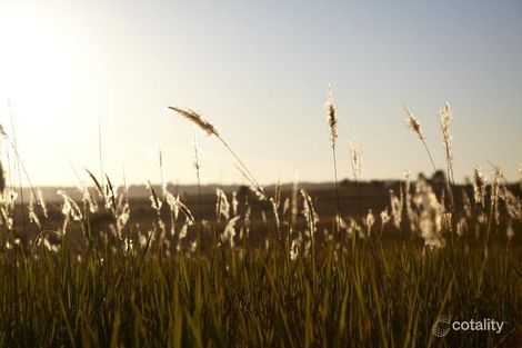 3 Yew St, Gillieston Heights, NSW 2321