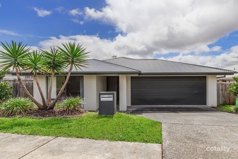 Property photo of 31 Greencastle Parade Maudsland QLD 4210