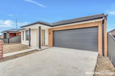 Property photo of 3 Highpark Circuit Craigieburn VIC 3064