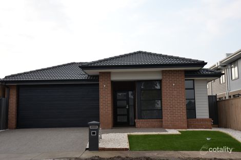 41 Blackcurrant Cct, Mernda, VIC 3754