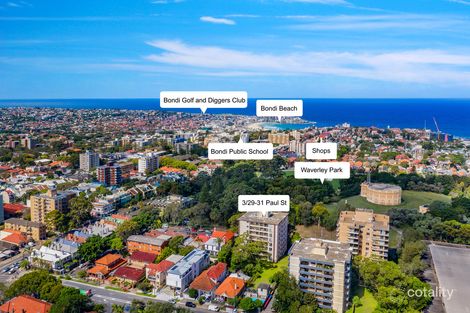 Property photo of 3/29-31 Paul Street Bondi Junction NSW 2022