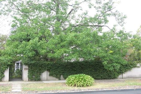 Property photo of 230 Kooyong Road Toorak VIC 3142