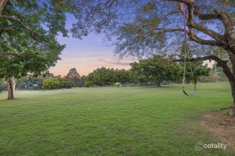 Property photo of 26 Willis Street Gordon Park QLD 4031