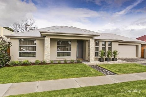 6 Newton Ave, Clovelly Park, SA 5042