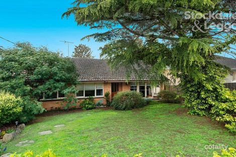 61 Vincent St, Oak Park, VIC 3046