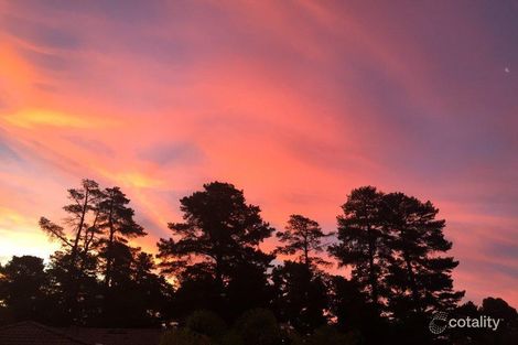 Property photo of 42 Pine Drive Aberfoyle Park SA 5159