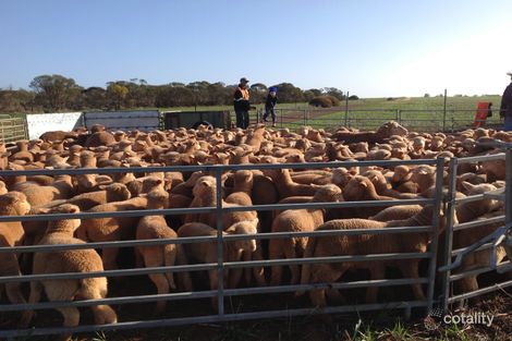 168 Baxter Rd, Koolanooka, WA 6623