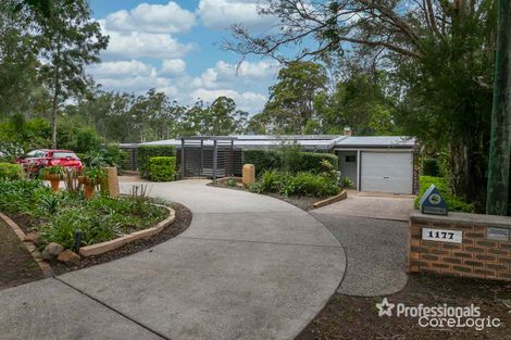 Property photo of 1177 Oakey Flat Road Narangba QLD 4504