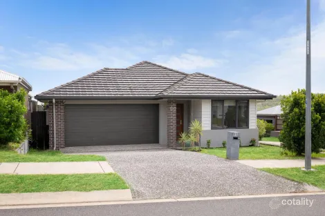 80 Watheroo St, South Ripley, QLD 4306