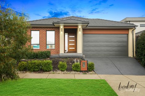 Property photo of 4 Water Lily Circuit Craigieburn VIC 3064