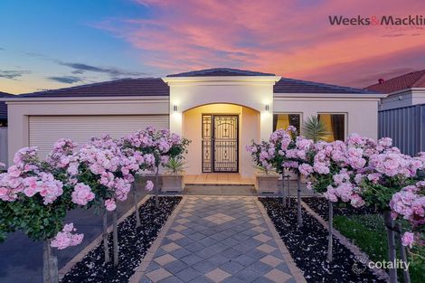 11 Ridgefield Ave, Paradise, SA 5075