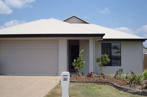 Property photo of 29 Guilfoyle Circuit Kirwan QLD 4817