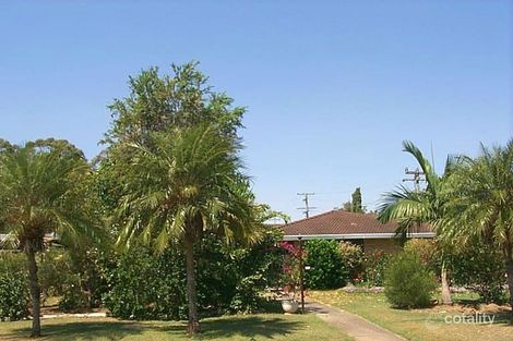 Property photo of 370 Duthie Avenue Frenchville QLD 4701