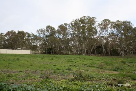 Property photo of 16 Federation Drive Naracoorte SA 5271