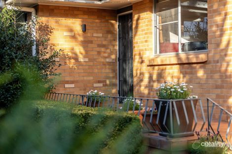 Property photo of 16 Talinga Street Mount Lofty QLD 4350