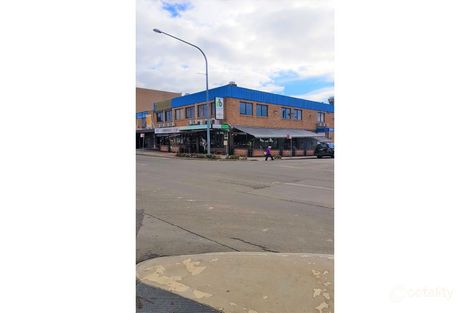 233 Canley Vale Rd, Canley Heights, NSW 2166